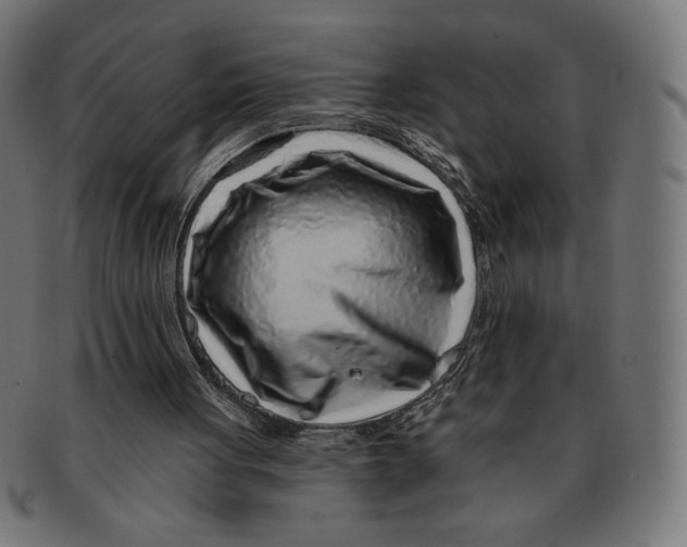 X0000091700051200709210930