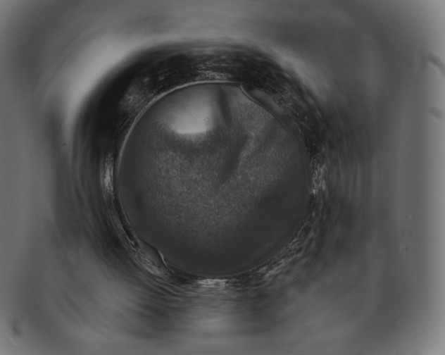 X0000091700052200709210930