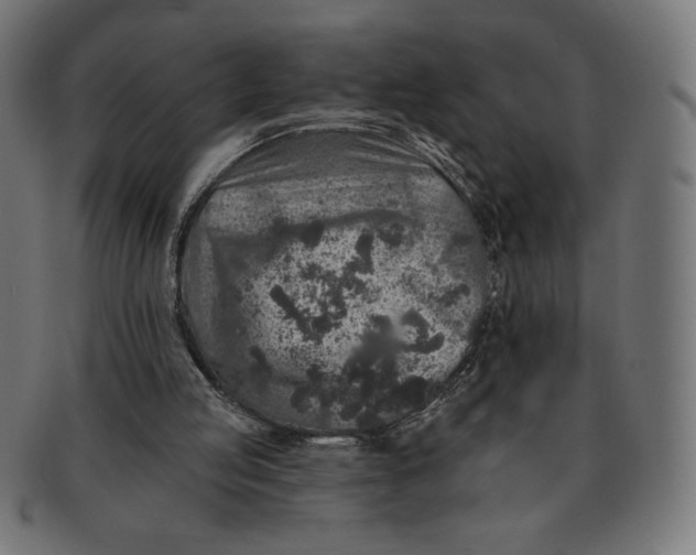 X0000091700053200709210930