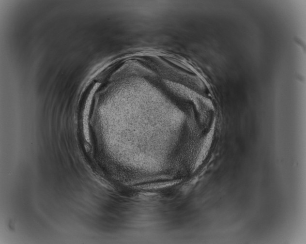 X0000091700055200709210930