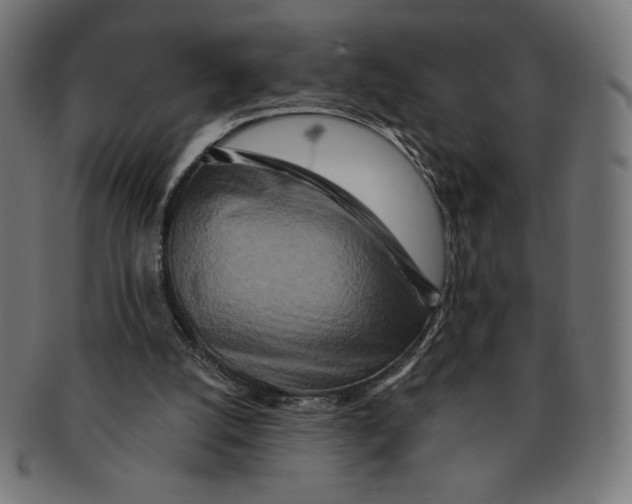 X0000091700056200709210930