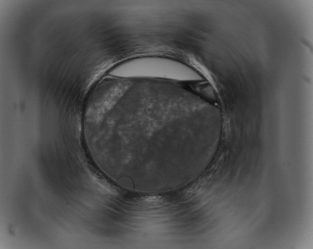 X0000091700059200709210930