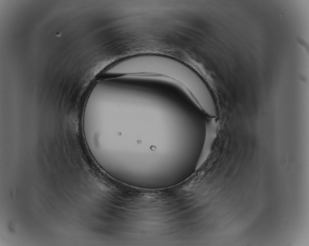 X0000091700060200709210930