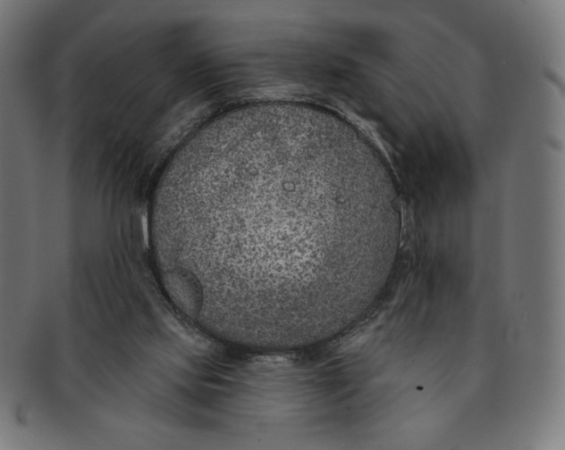 X0000091700061200709210930