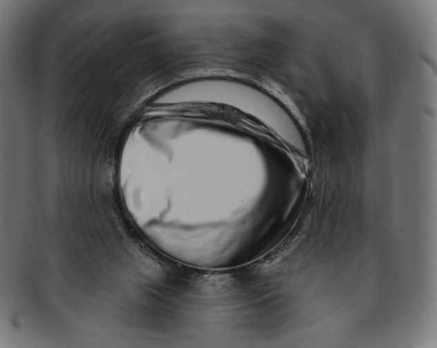 X0000091700063200709210930