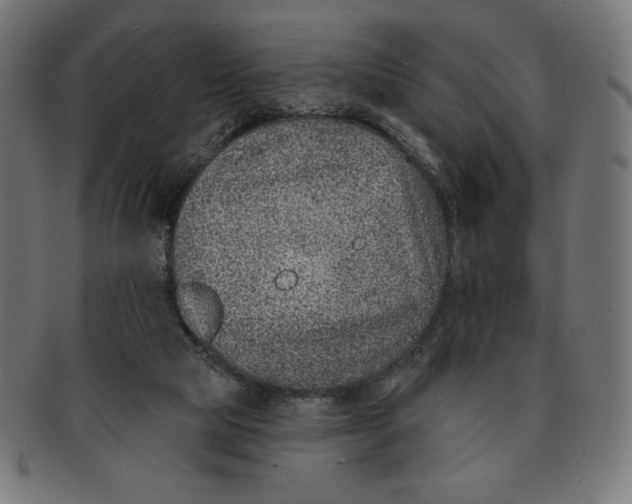 X0000091700065200709210930