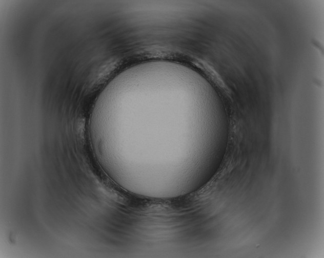 X0000091700066200709210930