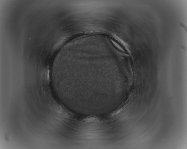 X0000091700067200709210930