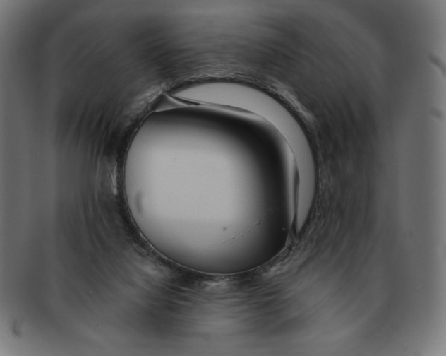 X0000091700068200709210930