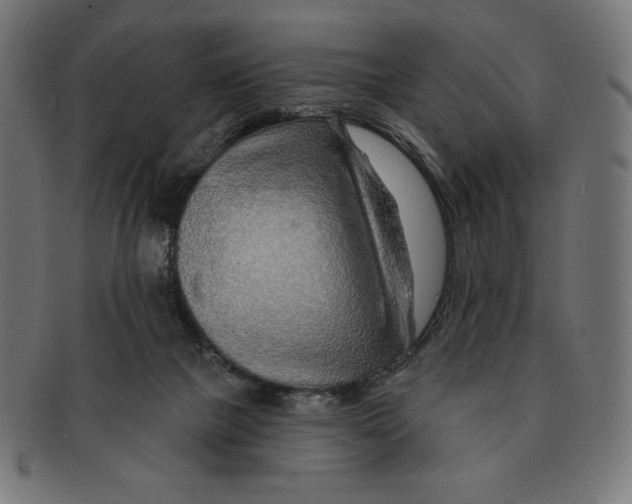 X0000091700073200709210930