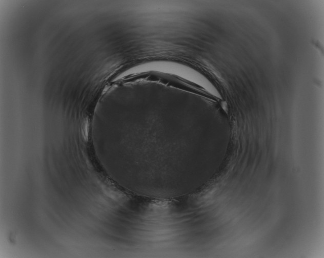 X0000091700076200709210930