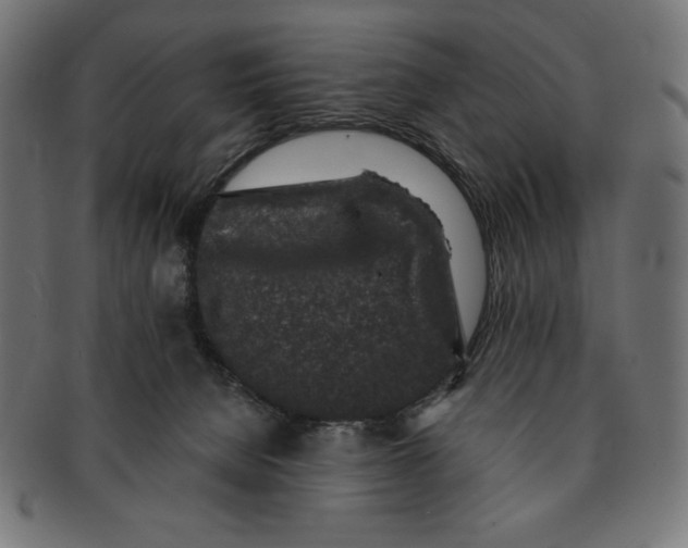 X0000091700080200709210931