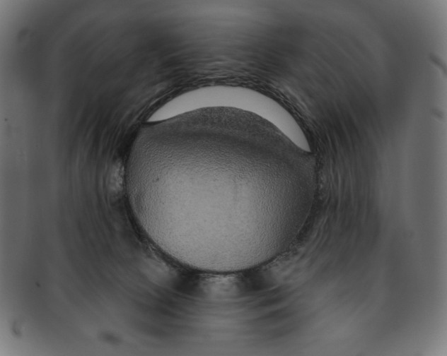 X0000091700081200709210931