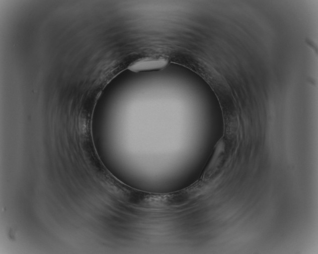 X0000091700084200709210931