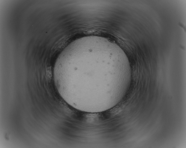 X0000091700085200709210931