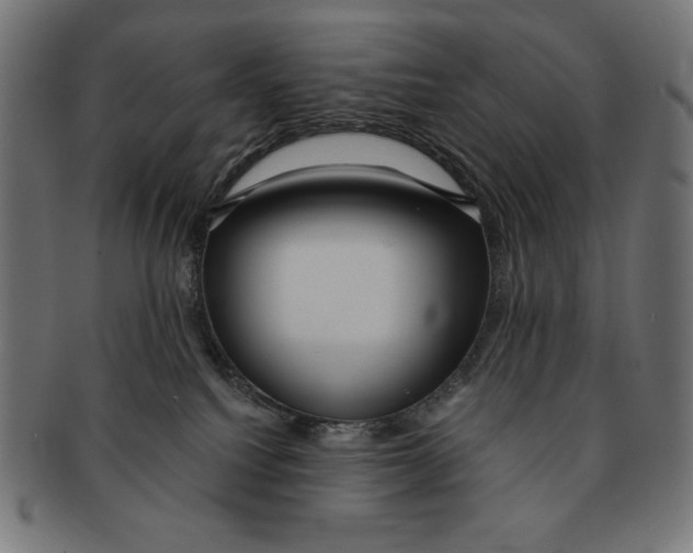 X0000091700088200709210931