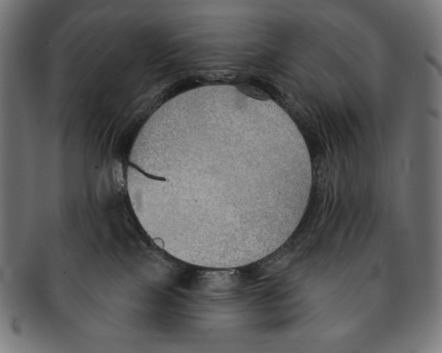 X0000091700089200709210931