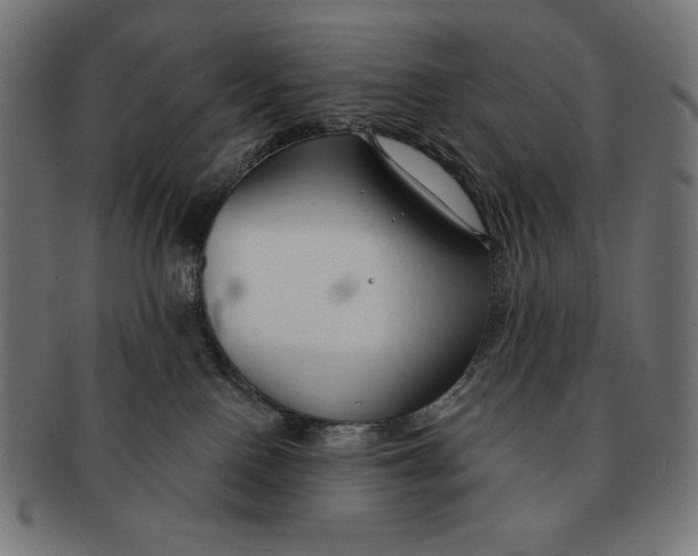 X0000091700090200709210931