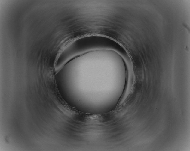 X0000091700092200709210931