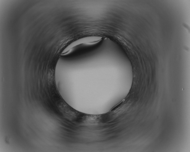 X0000091700096200709210931