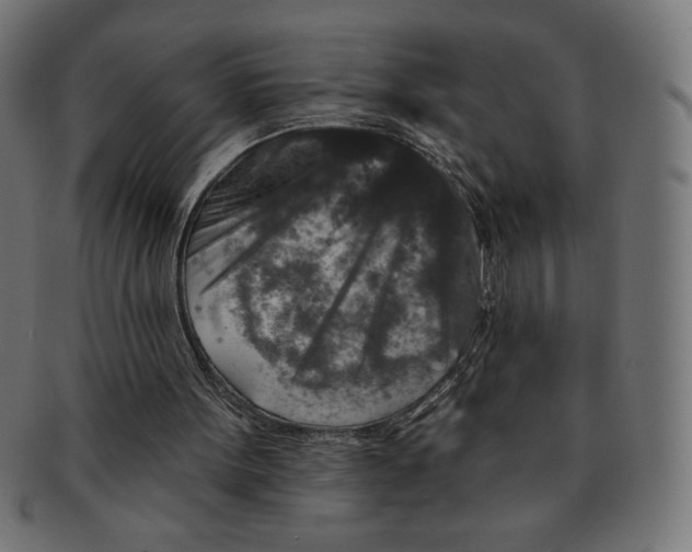 X0000091700099200709210930