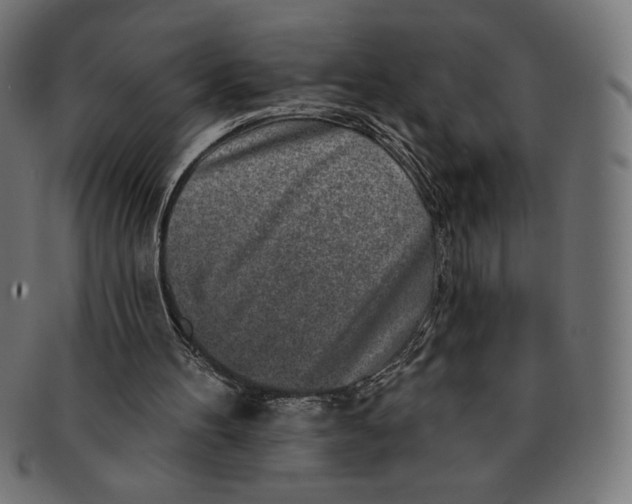 X0000091700100200709210930