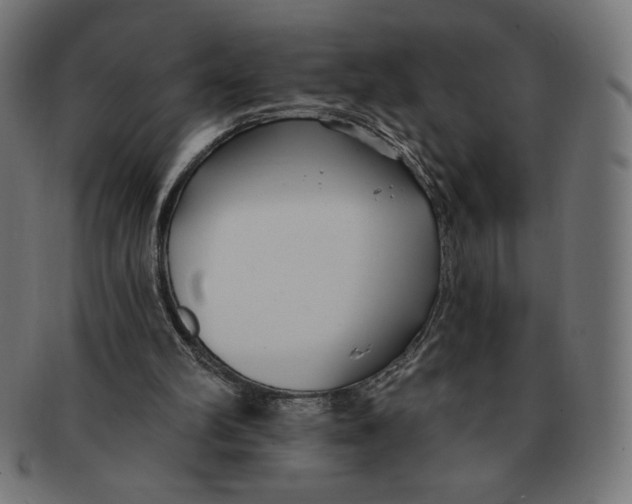 X0000091700102200709210930