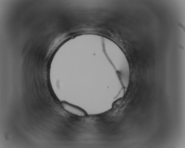 X0000091700103200709210930