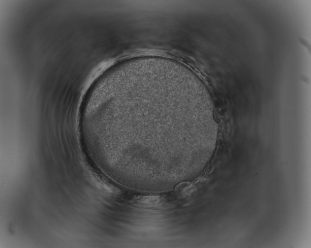 X0000091700104200709210930