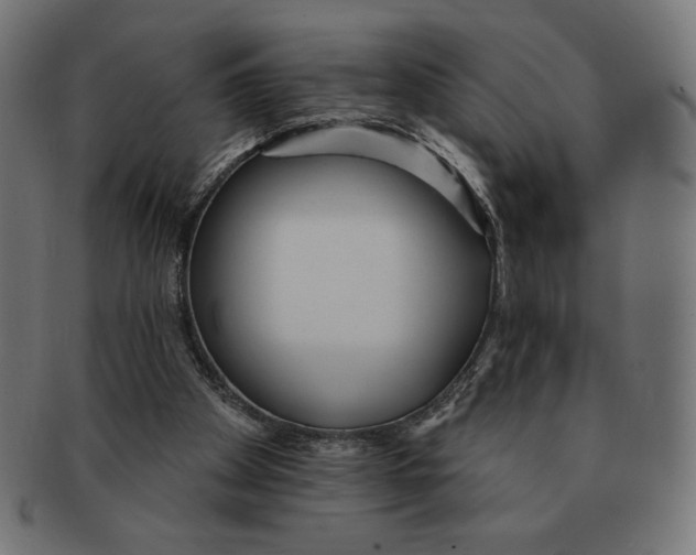 X0000091700105200709210930