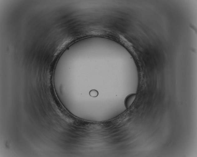 X0000091700106200709210930