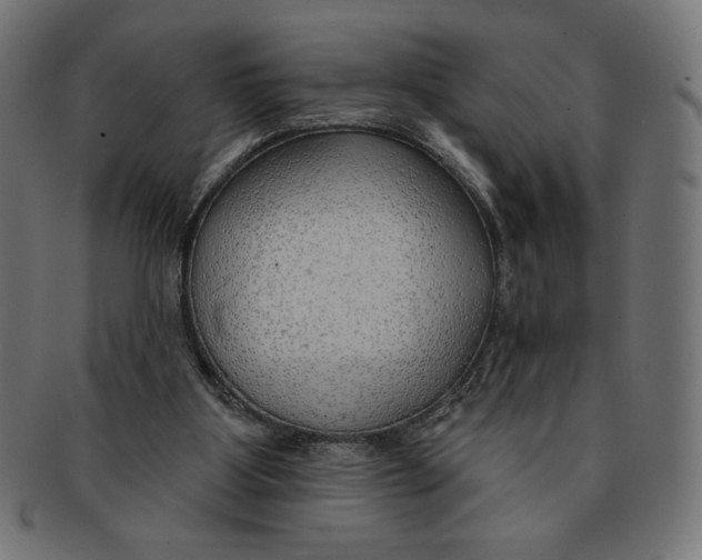 X0000091700107200709210930