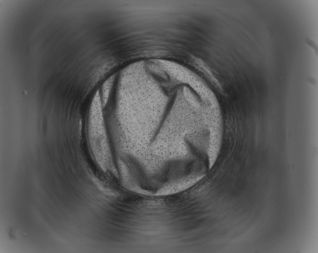 X0000091700110200709210930