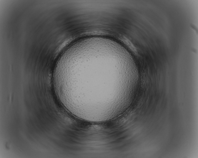 X0000091700111200709210930