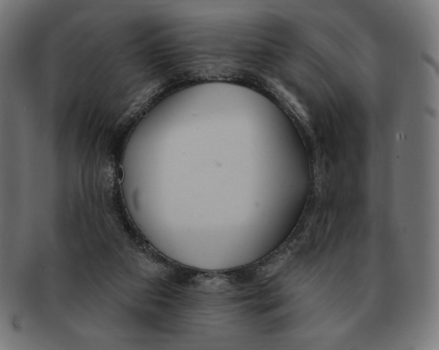 X0000091700113200709210930