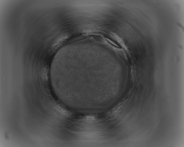 X0000091700114200709210930