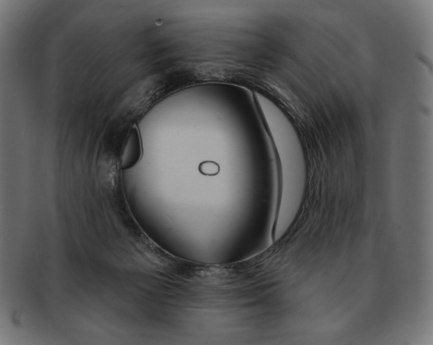 X0000091700125200709210930