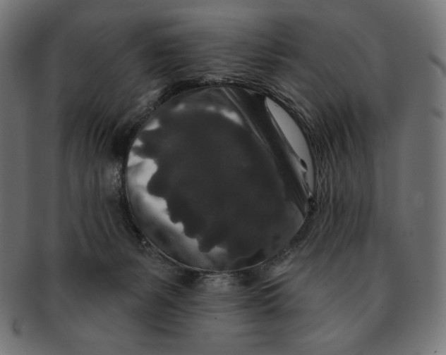 X0000091700127200709210930