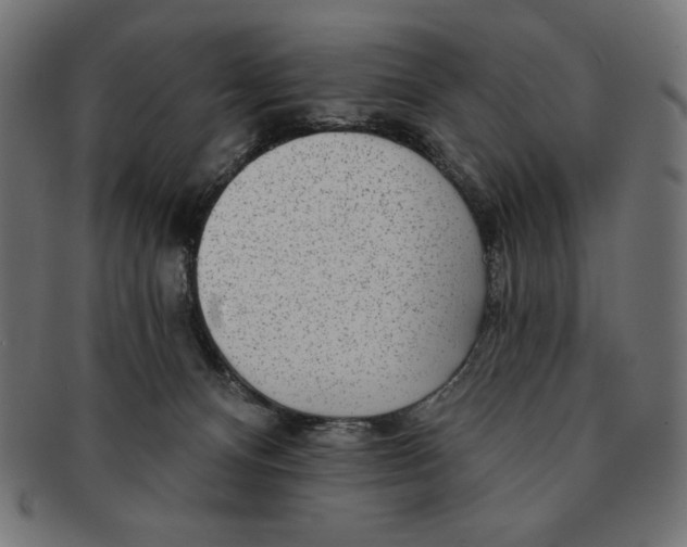 X0000091700128200709210930