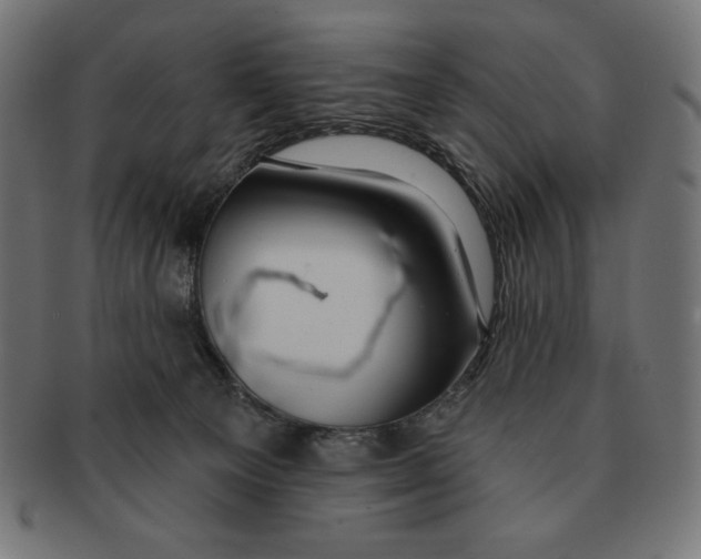 X0000091700129200709210930