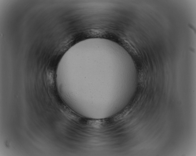 X0000091700131200709210930