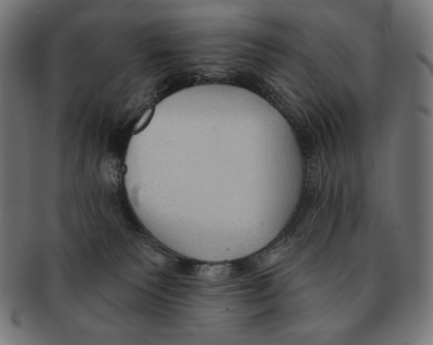 X0000091700135200709210930