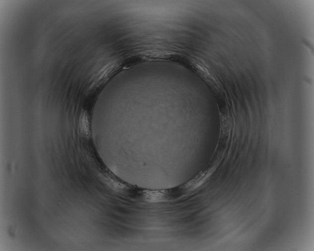 X0000091700143200709210929