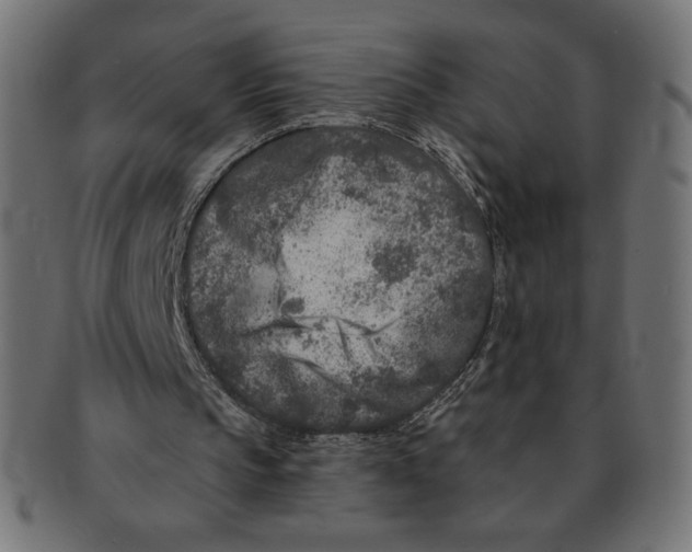 X0000091700145200709210929