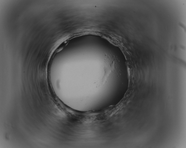 X0000091700148200709210929