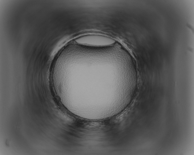 X0000091700151200709210929