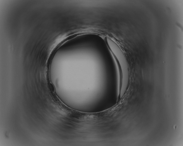 X0000091700152200709210929