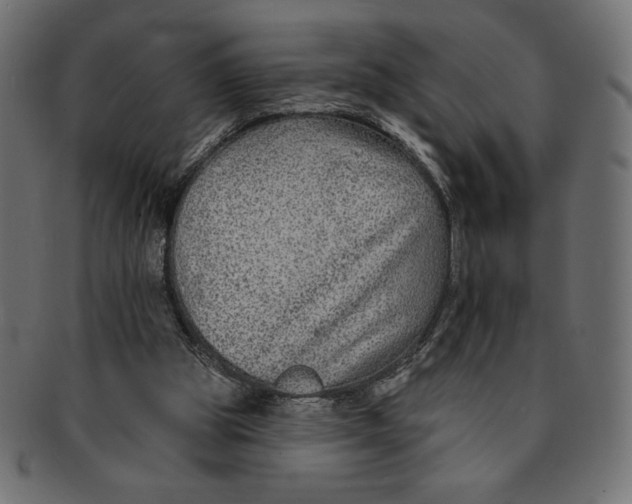 X0000091700153200709210929