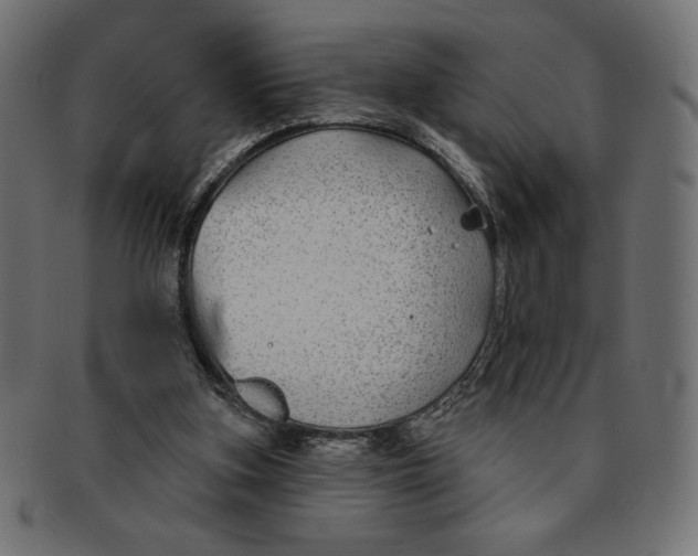 X0000091700155200709210929