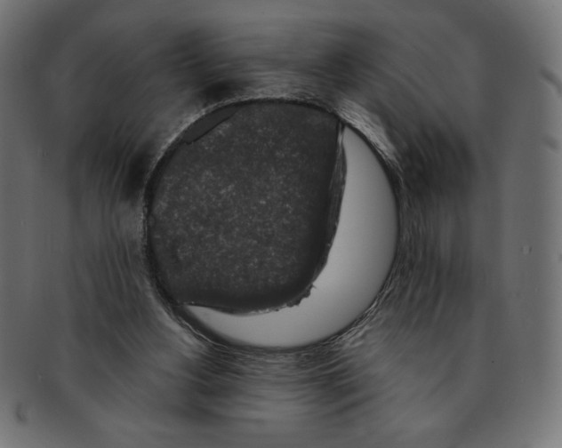 X0000091700156200709210929